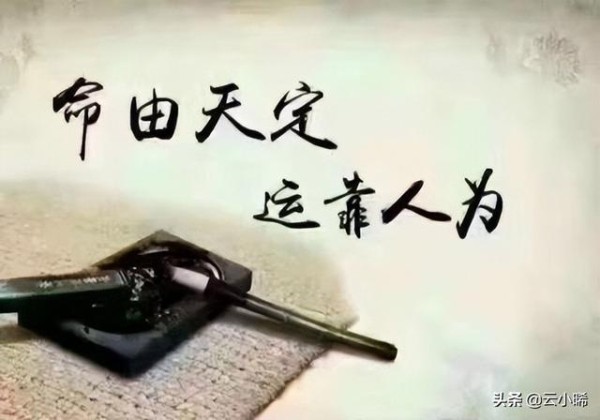文章图片3
