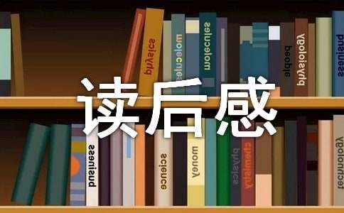 心流读后感范文（通用16篇）