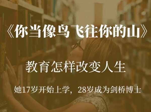 《你当像鸟飞往你的山》：让心灵腾飞的启迪之书