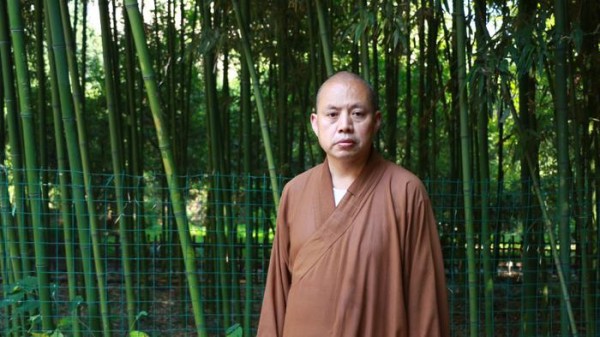 活出自我命运的解读与洞察