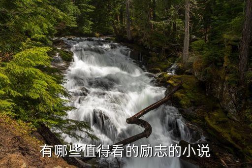 有哪些值得看的励志的小说