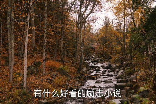 有什么好看的励志小说