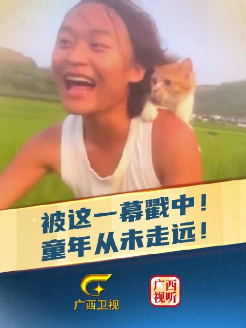 他带猫看的不是稻田,是我们的童年!