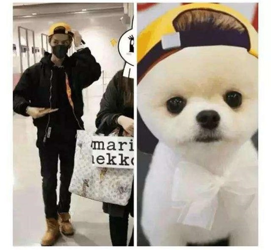 关晓彤微博小号曝光 鹿晗朋友圈又暗戳戳的撒狗粮了！