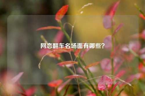 网恋翻车名场面有哪些？-第1张图片-情感百科_恋爱技巧_男女网恋_恋爱攻略_婚姻资讯_婚内出轨_情感百科之家