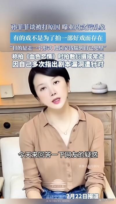 孙菲菲曝业内乱象