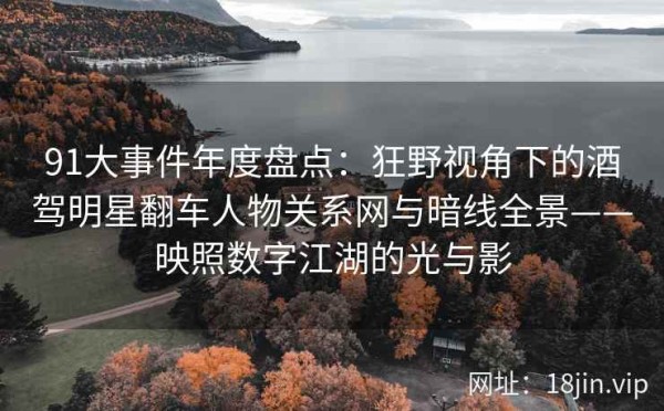91大事件年度盘点：狂野视角下的酒驾明星翻车人物关系网与暗线全景——映照数字江湖的光与影 第2张