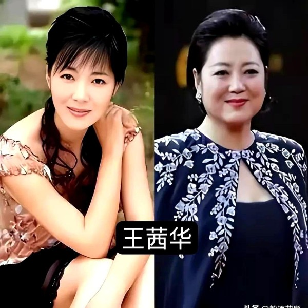 5位女星发福真可惜，年轻时倾国倾城，如今胖成土肥圆！