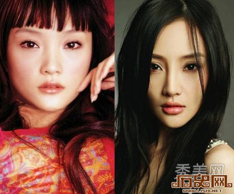 [多图]盘点娱乐圈疯狂整容换脸的十大女星