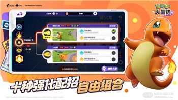 波西亚时光快速做菜的技巧与秘诀，提升你的料理效率与味蕾享受