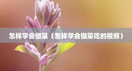 怎样学会做菜（怎样学会做菜吃的视频）