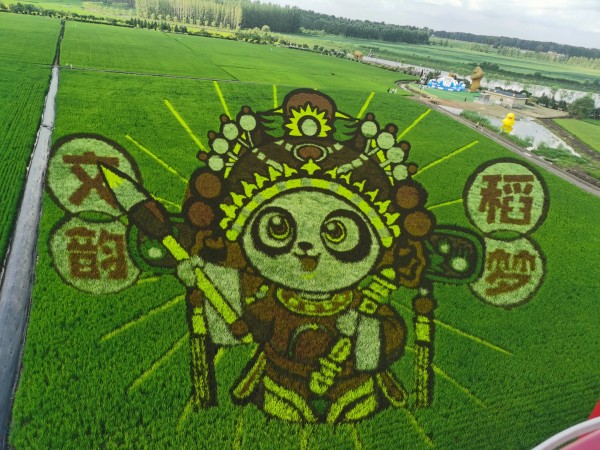 有趣的灵魂兼皮囊：旅行小帖士
分享一下我能够在旅行中少带行李的心得。1，洗漱用品，一律不带。[呲牙]全部用民宿/酒店提供的一次性用品。洗面奶用牙膏替代。冬天可以带极小的一管面霜。防晒用物理方法。晴雨伞一伞2用。防晒衣，防晒袖，可防晒，防凉。
   2，衣物。多带旧衣服。那种近要扔掉的。当然爱美之人除外。旅行10天记。前5天以洗衣服为主。后5天以扔衣服为主。最后回家时剩2套足够。拖鞋可以带旅行拖鞋。...