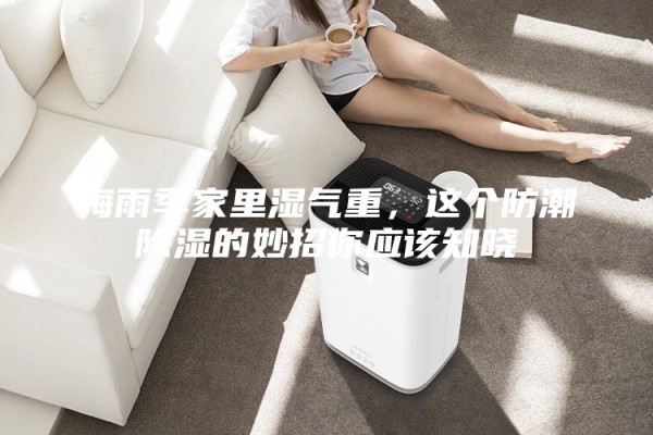梅雨季家里湿气重，这个防潮除湿的妙招你应该知晓