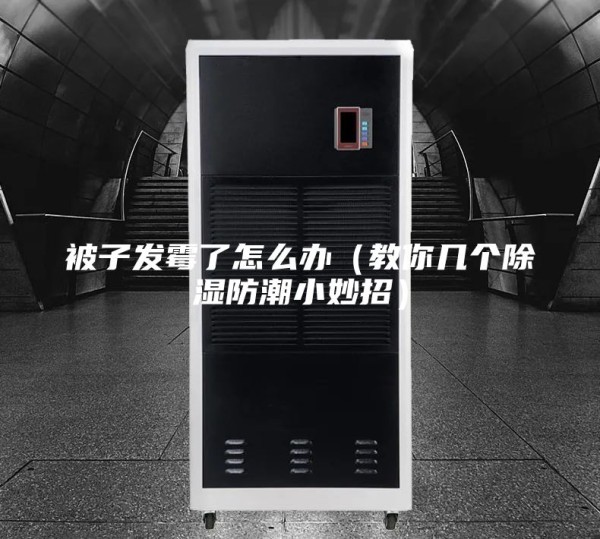 被子发霉了怎么办（教你几个除湿防潮小妙招）