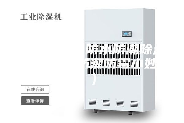 地下室怎么防水防潮除湿（地下室防潮防霉小妙招）