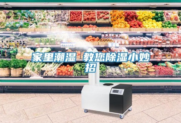 家里潮湿 教您除湿小妙招