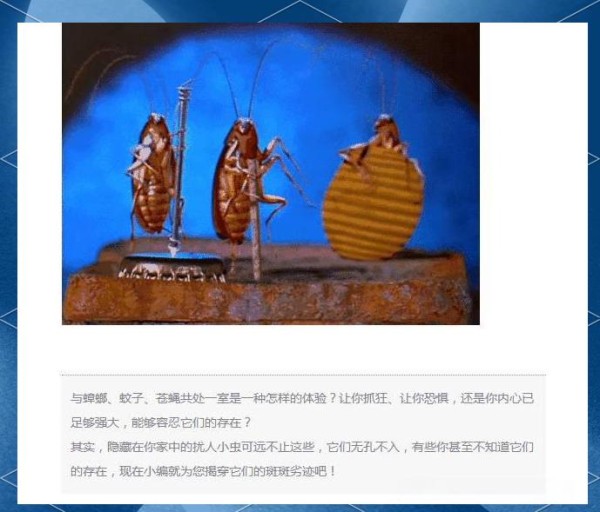 家庭小虫害及其有效防治对策