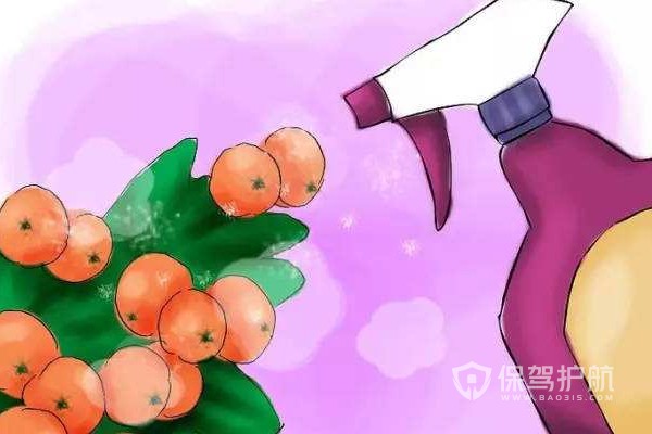 植物除虫-保驾护航装修网
