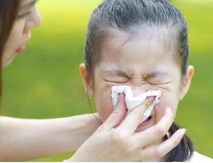 宠物感冒居家护理指南