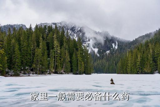 家里一般需要必备什么药
