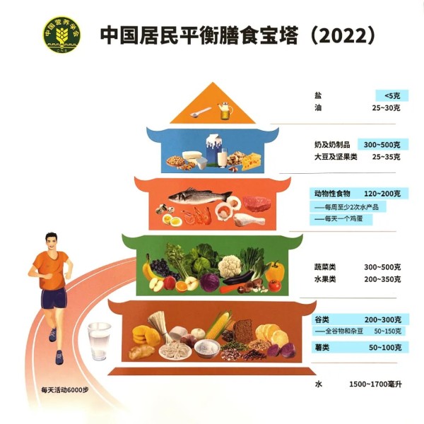 膳食宝塔 2022.jpg