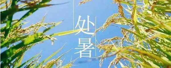 处暑：秋意浓 多吃鸭