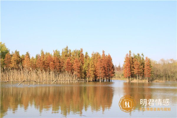 夫妻相处技巧,夫妻间应该怎样相处?