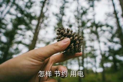 怎样 节约 用电