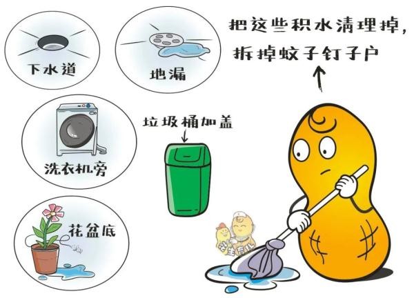 知识科普：居家如何防蚊虫？