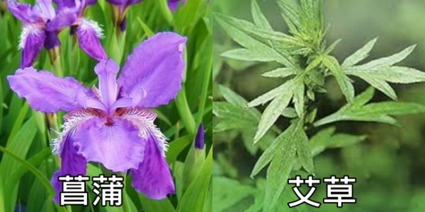 【驅蚊妙招】推薦10除蚊方法！防蚊 植物、貼片、門簾、精油、肥皂水、防蚊液15