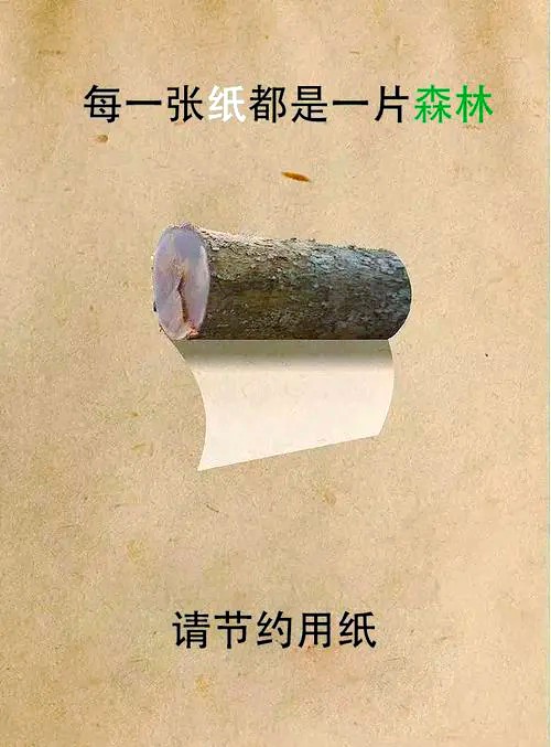 环保小贴士大揭秘：让你的生活更绿色！