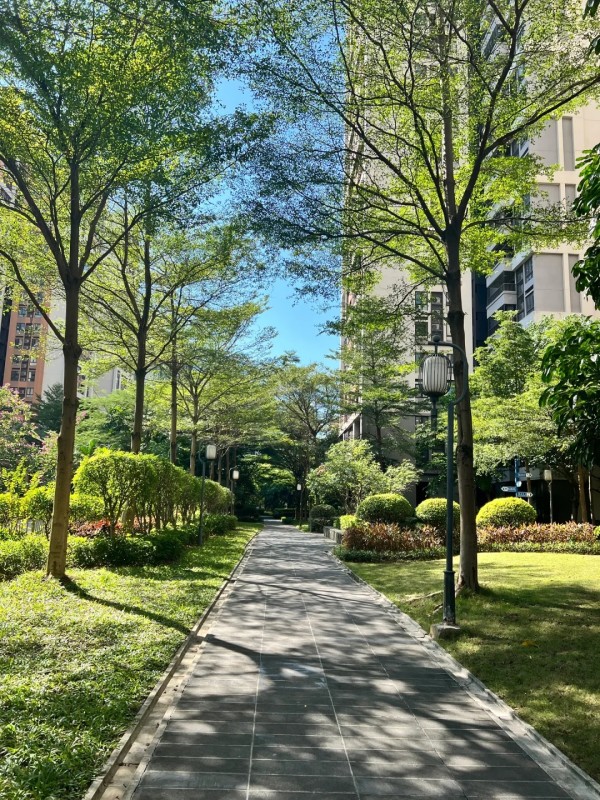 冰箱收纳术：看完才知道我以前多浪费空间