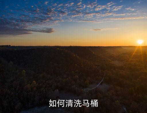 如何清洗马桶