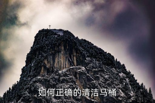 如何正确的清洁马桶