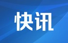 中国驻黎巴嫩使馆与赴黎维和部队祭扫杜照宇烈士墓