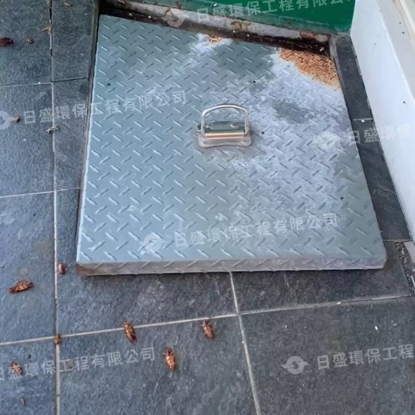 下雨天總有大蟑螂出現該怎麼防治？