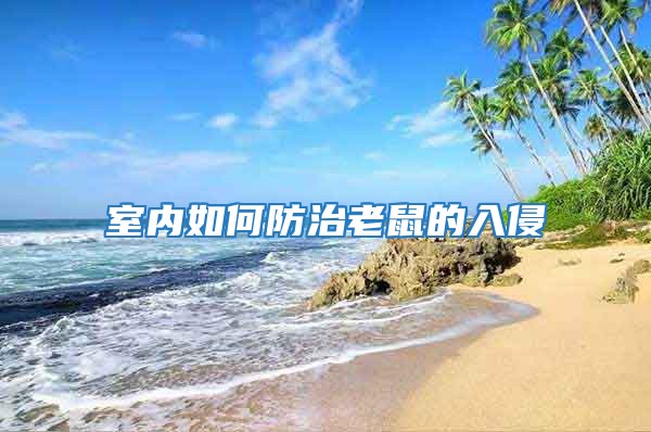 室内如何防治老鼠的入侵