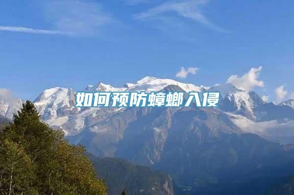如何预防蟑螂入侵