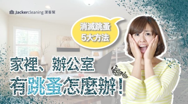 家裡、辦公室有跳蚤怎麼辦?教你消滅跳蚤5大方法輕鬆解決困擾!
