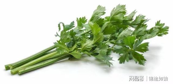 20个买菜小技巧，太省钱了
