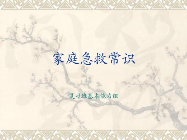 [宝典]家庭急救小常识_第1页