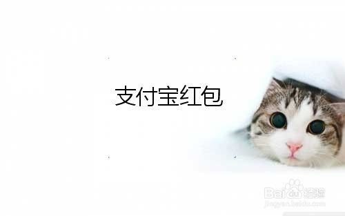 日常省钱的一些小窍门