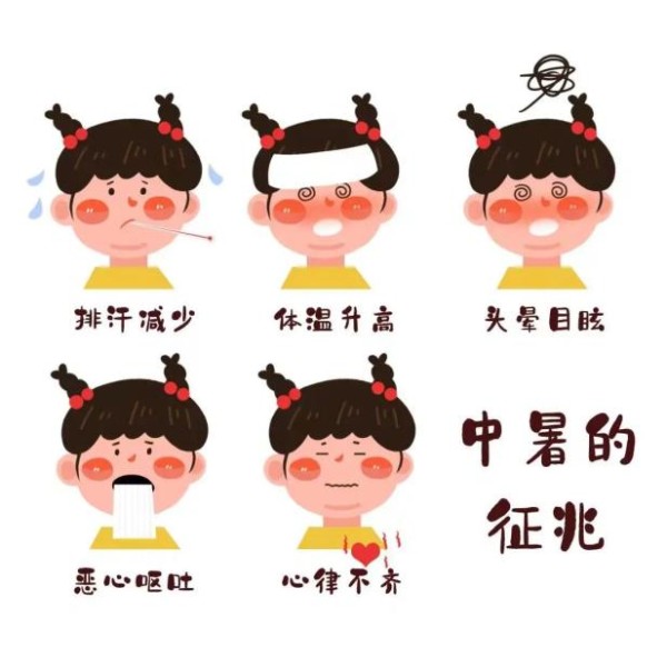 【科普知识】炎炎夏日，这份防暑指南请收好~