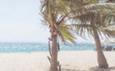 最新夏季<a target=