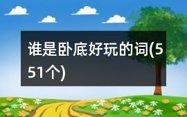 谁是卧底好玩的词(551个)