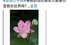 释永信最后“留言”颇耐人寻味