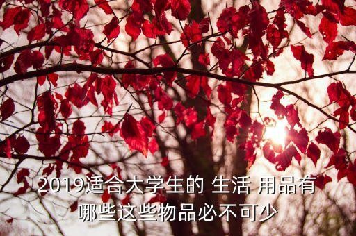 2019适合大学生的 <a target=