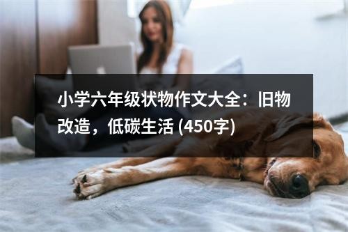 小学六年级状物作文大全：旧物改造，低碳<a target=