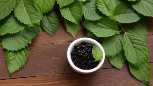 泡茶品茗，体验茶艺表演的无穷乐趣