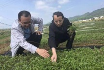 如何打造脱贫攻坚题材文学精品？ 人民网文娱部邀请中国作协创研部主任、研究员何向阳，贵州省文联、作协主席欧阳黔森，河北省作协主席关仁山，为我们讲述“脱贫攻坚题材报告文学创作工程”的历程和收获，分享创作心得和感悟。 【详细】